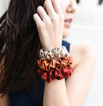 Load image into Gallery viewer, 100% Pure Mulberry Silk Scrunchies - The Winter Spice Collection
